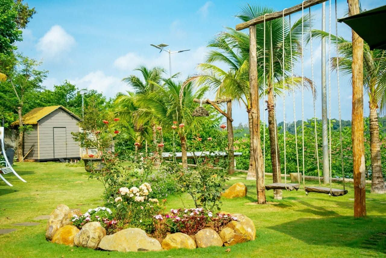 Bãi cỏ và cây xanh