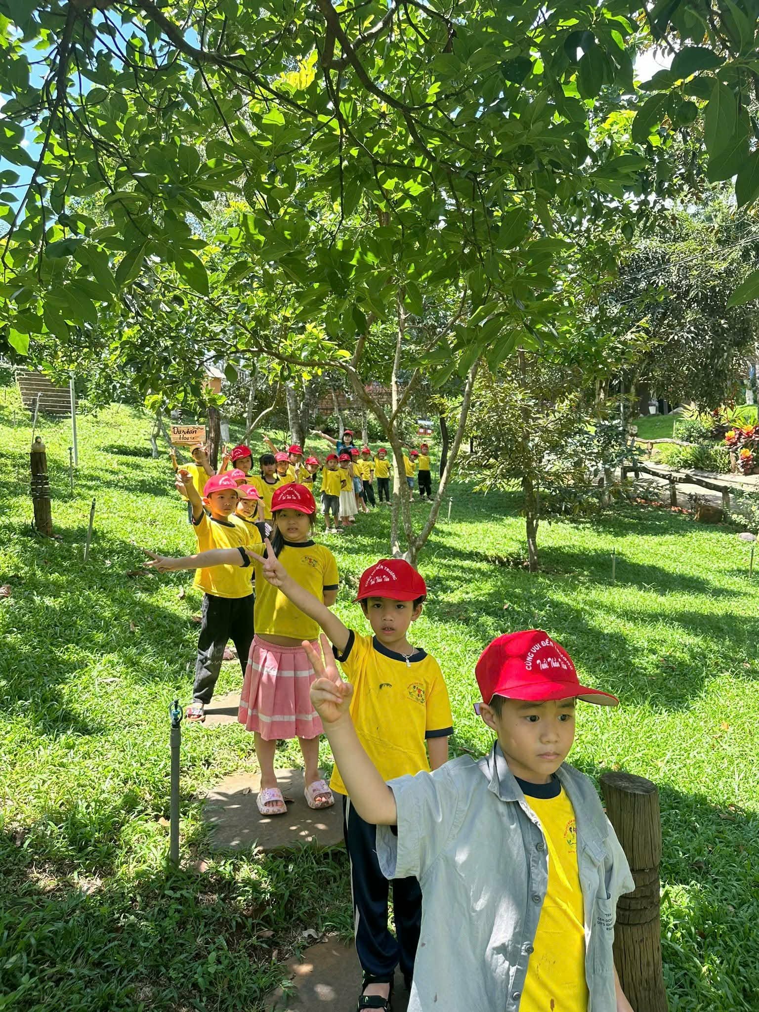 Hồ cá Koi và cầu gỗ