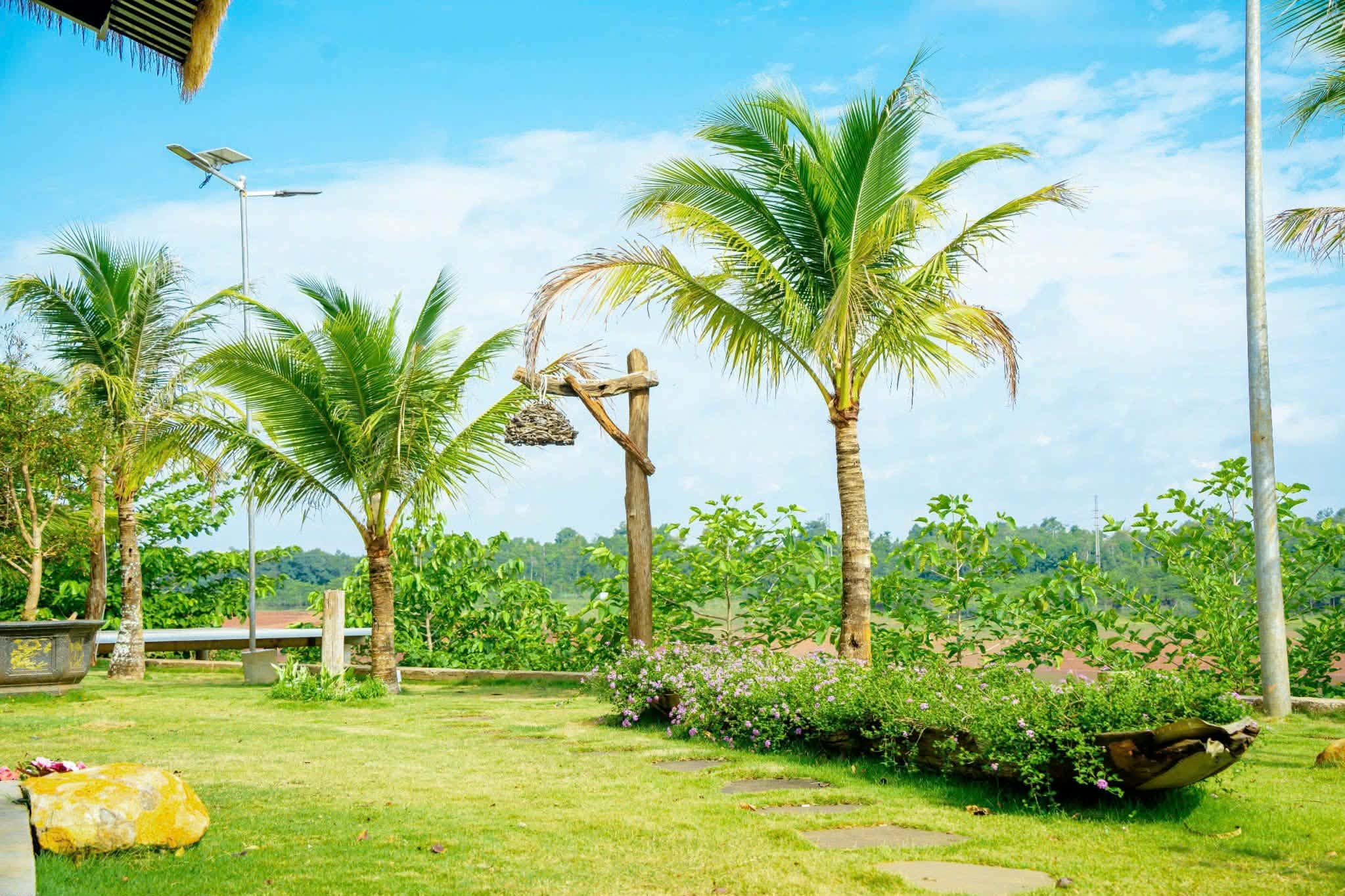 Khu vườn tại Lakeview Farm