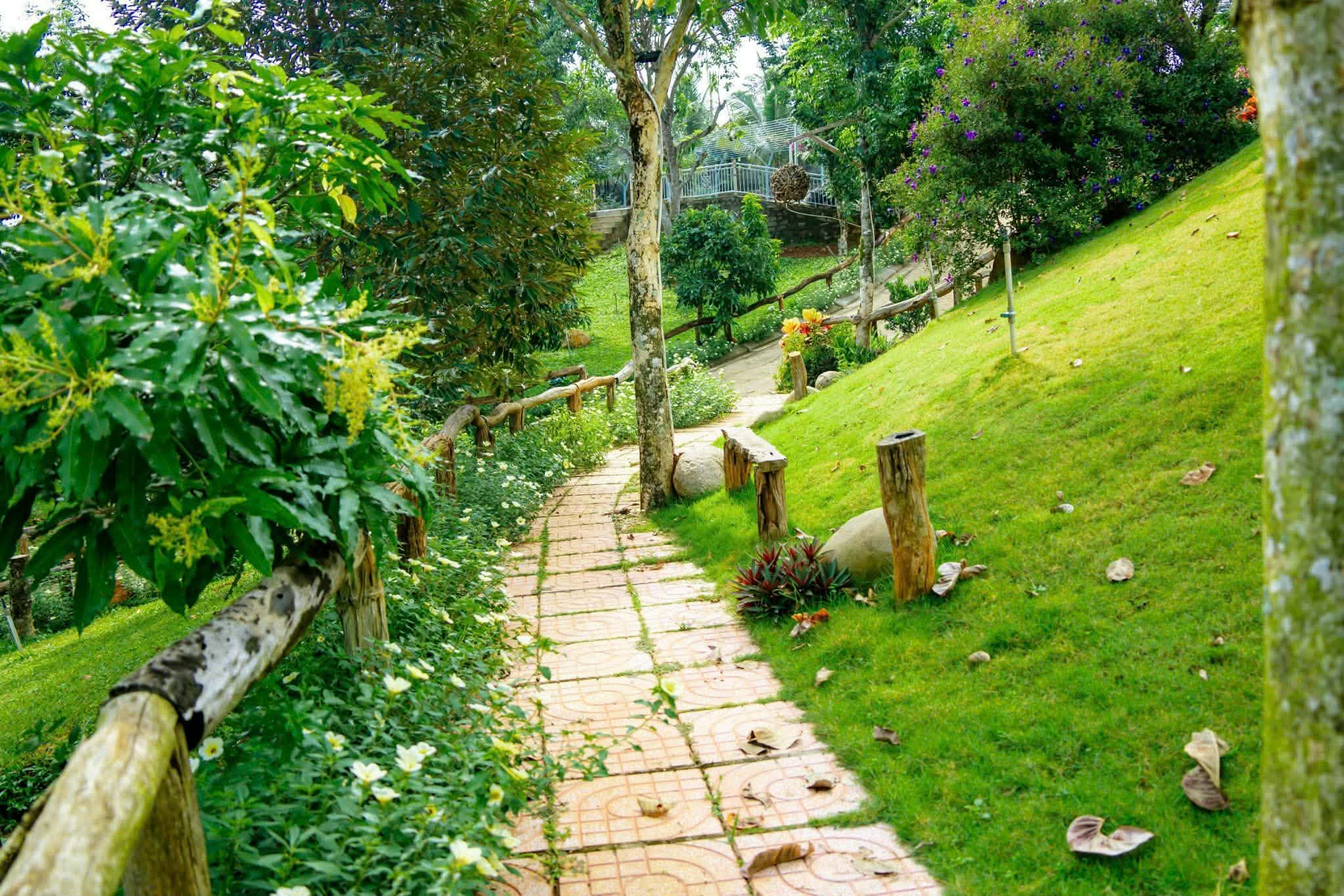 Lối đi lát gạch uốn lượn giữa vườn